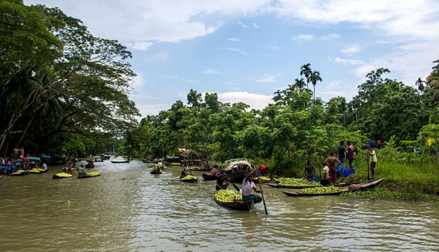 Pirojpur